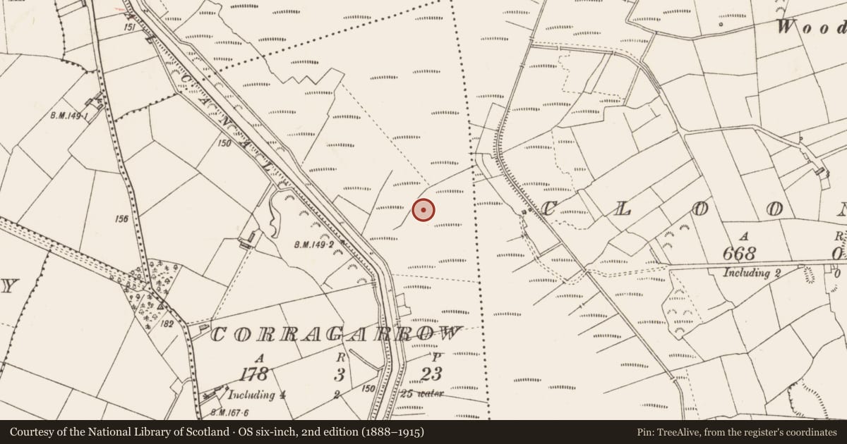 Ordnance Survey six-inch map, 2nd edition (1888–1915) covering the location of Road - class 3 togher, Corragarrow, County Longford, with a pin at the register's coordinates