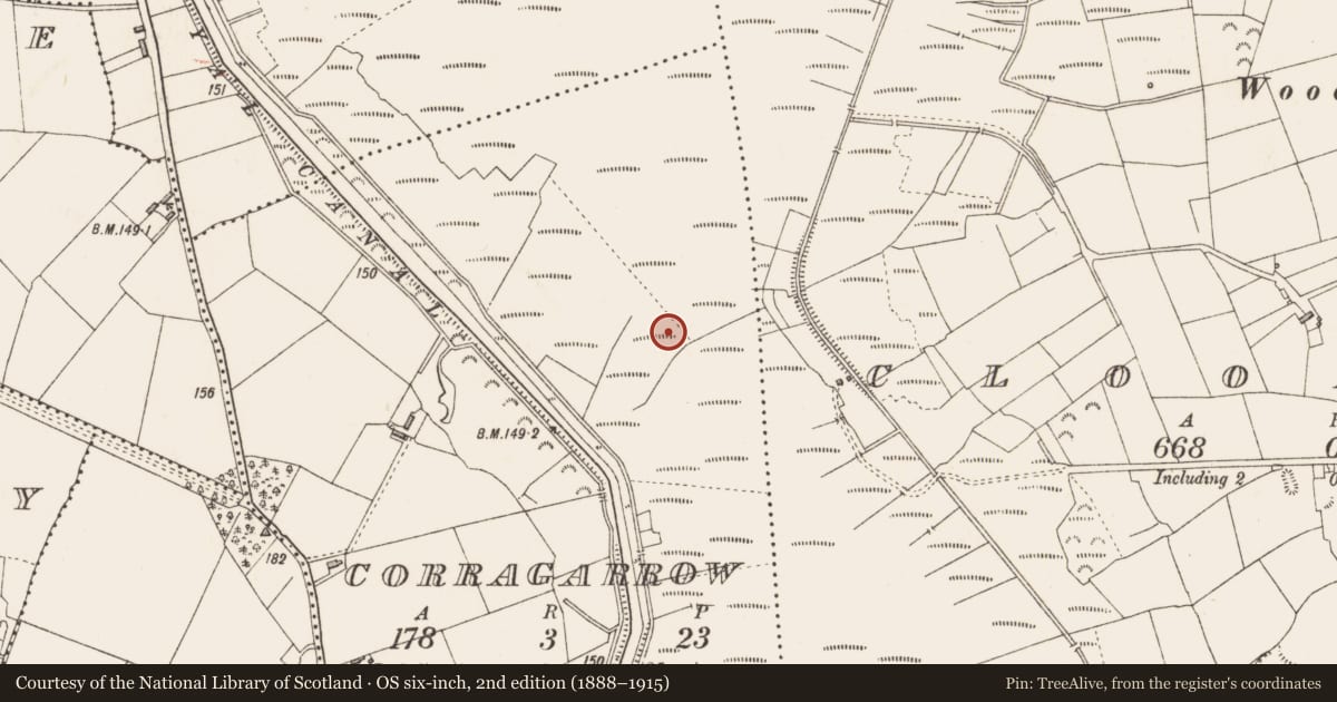 Ordnance Survey six-inch map, 2nd edition (1888–1915) covering the location of Platform - peatland, Corragarrow, County Longford, with a pin at the register's coordinates