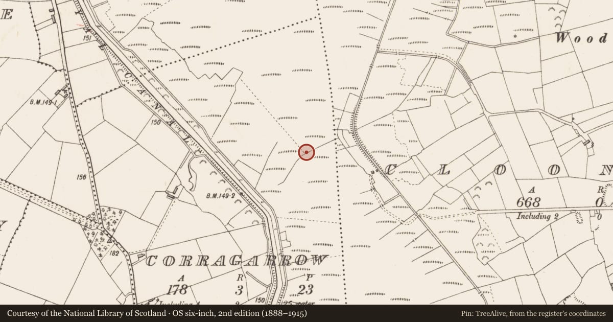 Ordnance Survey six-inch map, 2nd edition (1888–1915) covering the location of Platform - peatland, Corragarrow, County Longford, with a pin at the register's coordinates
