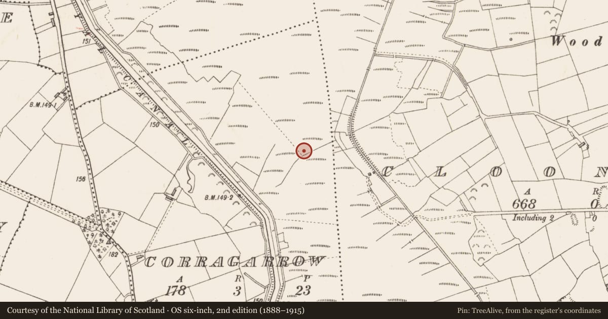 Ordnance Survey six-inch map, 2nd edition (1888–1915) covering the location of Platform - peatland, Corragarrow, County Longford, with a pin at the register's coordinates