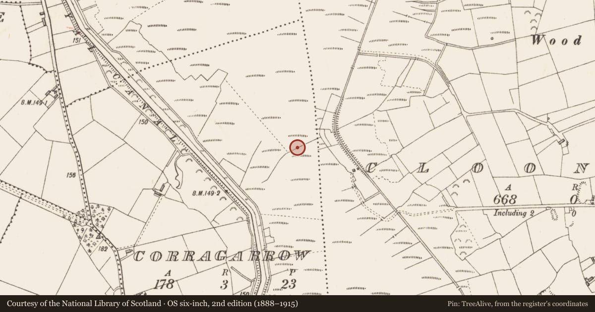 Ordnance Survey six-inch map, 2nd edition (1888–1915) covering the location of Platform - peatland, Corragarrow, County Longford, with a pin at the register's coordinates