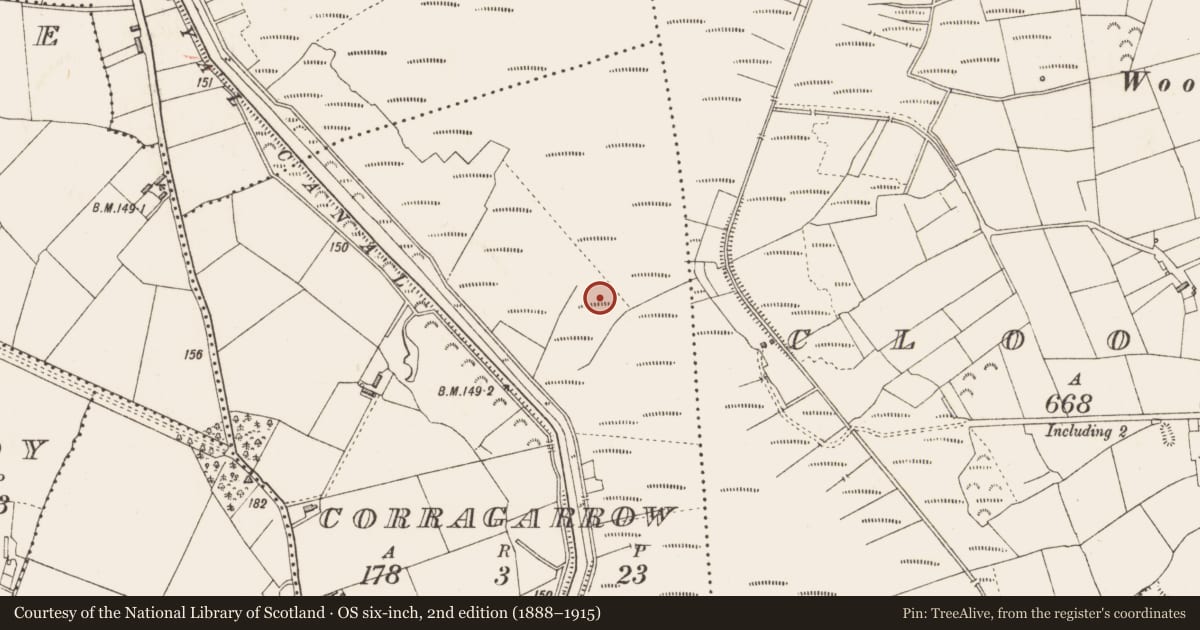 Ordnance Survey six-inch map, 2nd edition (1888–1915) covering the location of Road - unclassified togher, Corragarrow, County Longford, with a pin at the register's coordinates