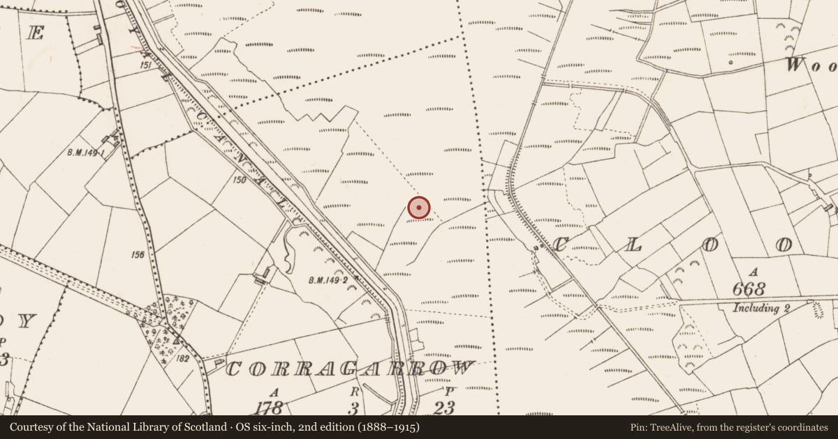Ordnance Survey six-inch map, 2nd edition (1888–1915) covering the location of Platform - peatland, Corragarrow, County Longford, with a pin at the register's coordinates