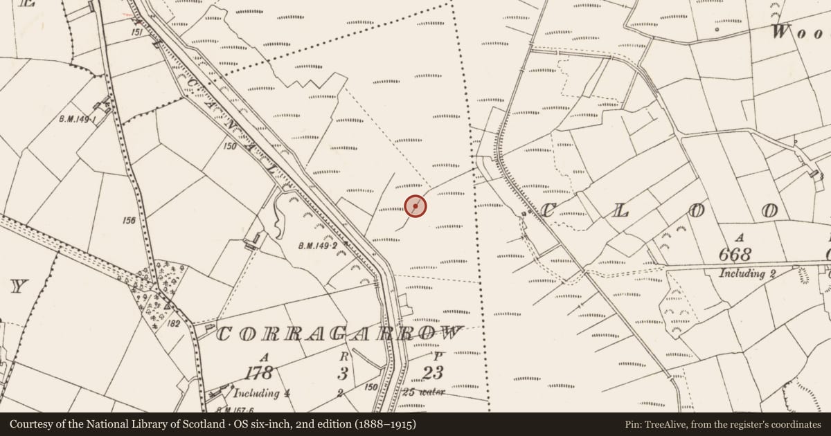 Ordnance Survey six-inch map, 2nd edition (1888–1915) covering the location of Platform - peatland, Corragarrow, County Longford, with a pin at the register's coordinates