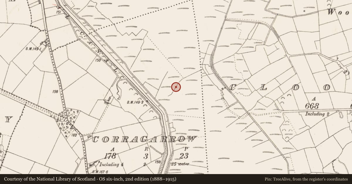 Ordnance Survey six-inch map, 2nd edition (1888–1915) covering the location of Road - class 3 togher, Corragarrow, County Longford, with a pin at the register's coordinates