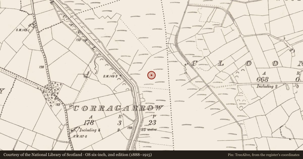 Ordnance Survey six-inch map, 2nd edition (1888–1915) covering the location of Road - class 2 togher, Corragarrow, County Longford, with a pin at the register's coordinates
