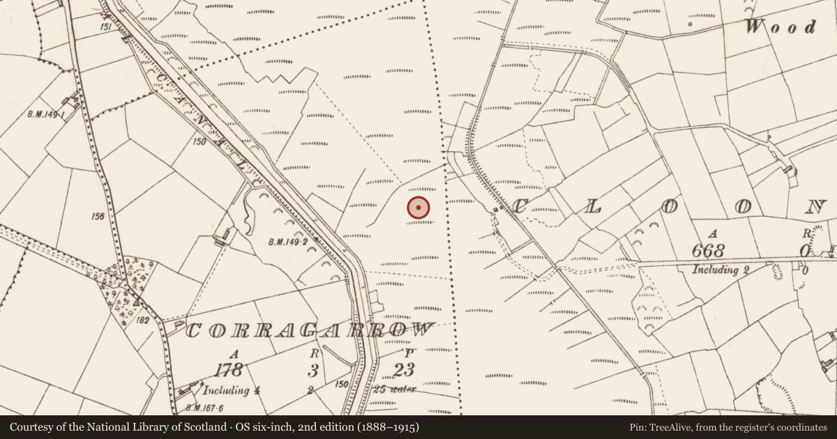 Ordnance Survey six-inch map, 2nd edition (1888–1915) covering the location of Road - unclassified togher, Corragarrow, County Longford, with a pin at the register's coordinates