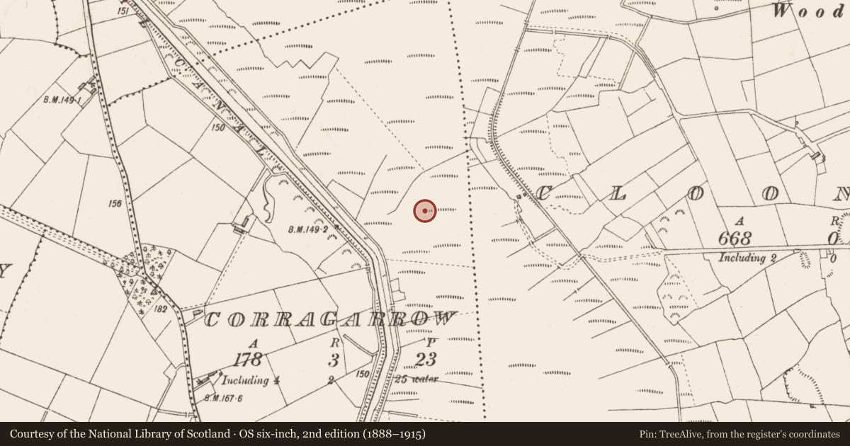 Ordnance Survey six-inch map, 2nd edition (1888–1915) covering the location of Road - class 1 togher, Corragarrow, County Longford, with a pin at the register's coordinates