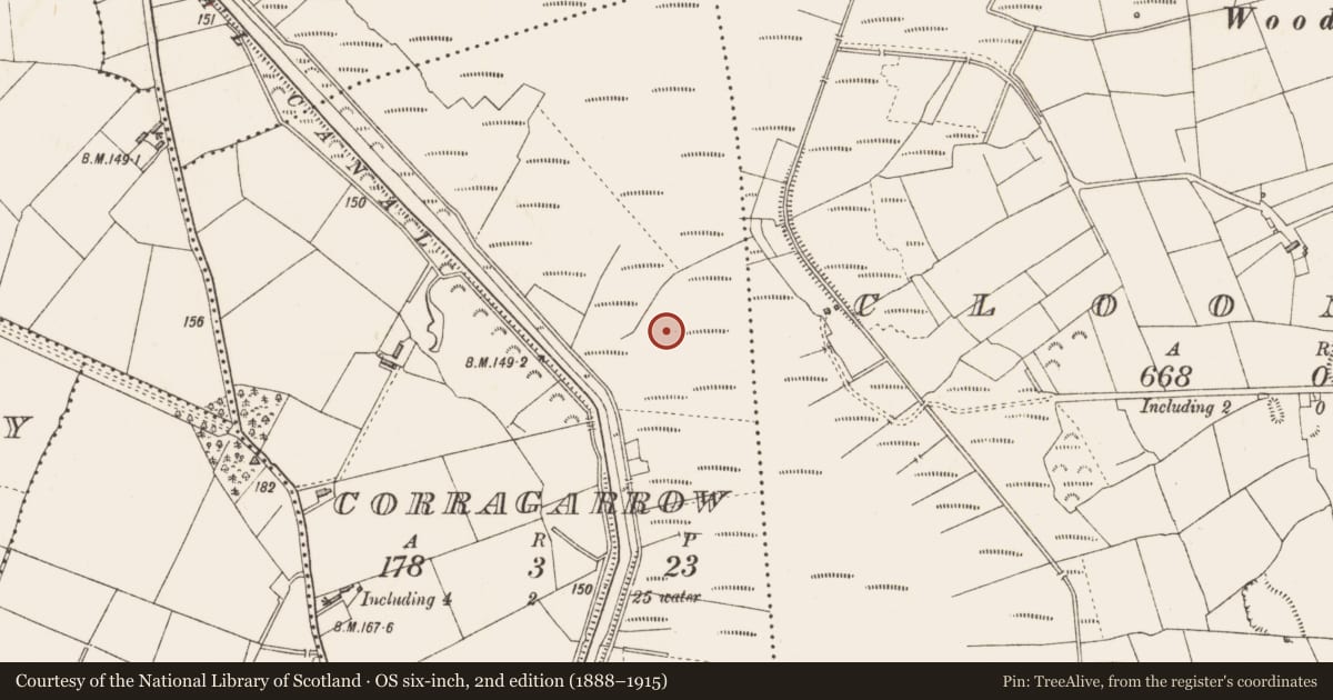Ordnance Survey six-inch map, 2nd edition (1888–1915) covering the location of Road - class 3 togher, Corragarrow, County Longford, with a pin at the register's coordinates