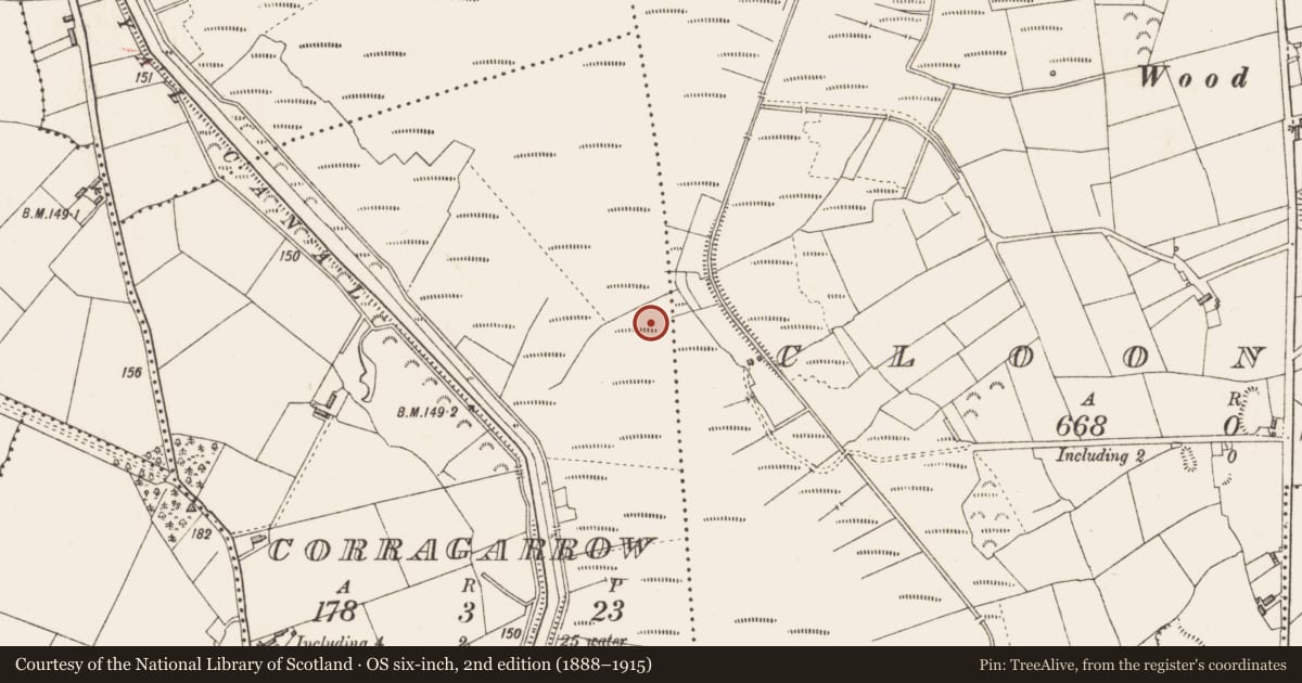 Ordnance Survey six-inch map, 2nd edition (1888–1915) covering the location of Road - class 1 togher, Cloonmore, Corragarrow, County Longford, with a pin at the register's coordinates
