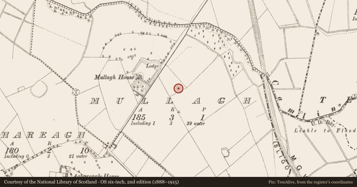 Ordnance Survey six-inch map, 2nd edition (1888–1915) covering the location of Furnace, Mullagh, County Longford, with a pin at the register's coordinates