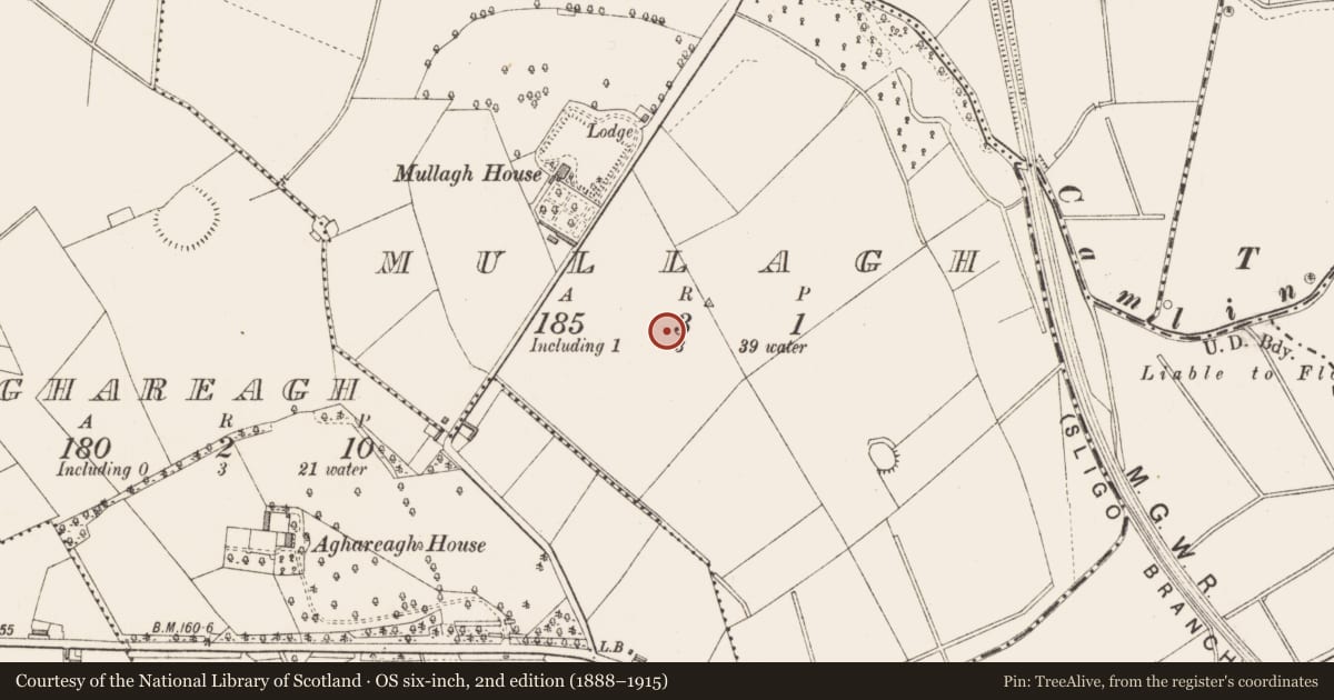 Ordnance Survey six-inch map, 2nd edition (1888–1915) covering the location of Field system, Mullagh, County Longford, with a pin at the register's coordinates