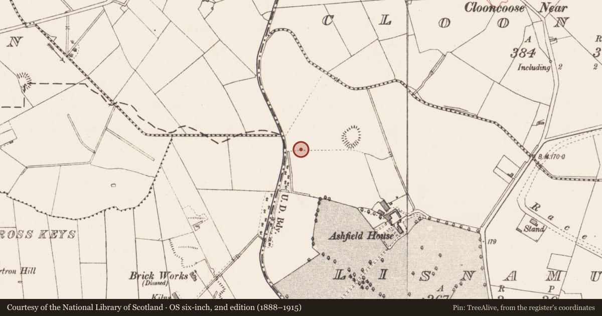 Ordnance Survey six-inch map, 2nd edition (1888–1915) covering the location of Cremation pit, Lisnamuck, County Longford, with a pin at the register's coordinates