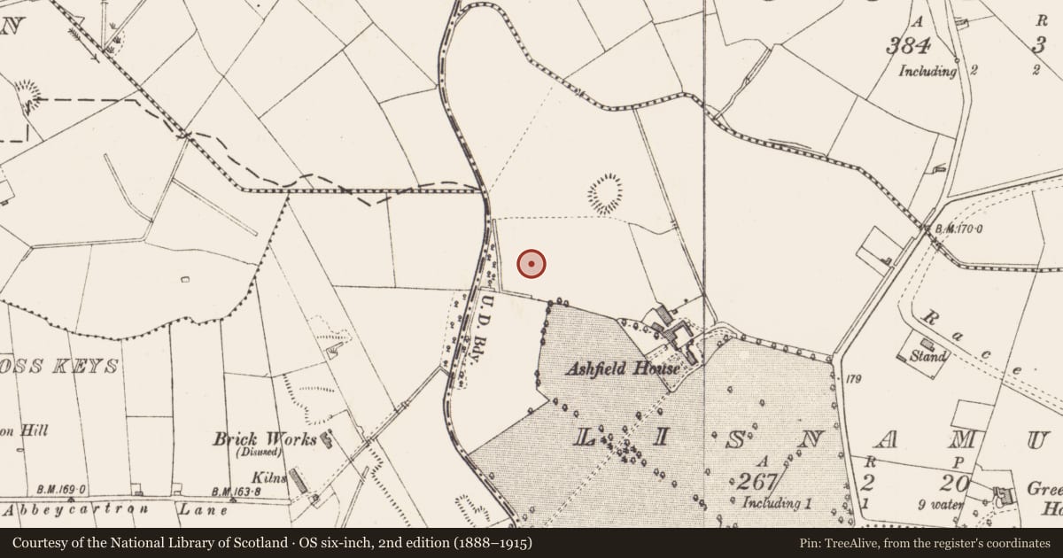 Ordnance Survey six-inch map, 2nd edition (1888–1915) covering the location of Fulacht fia, Lisnamuck, County Longford, with a pin at the register's coordinates