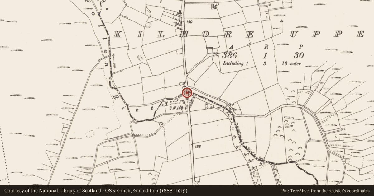 Ordnance Survey six-inch map, 2nd edition (1888–1915) covering the location of Ford, Cloonmore, Kilmore Upper, County Longford, with a pin at the register's coordinates