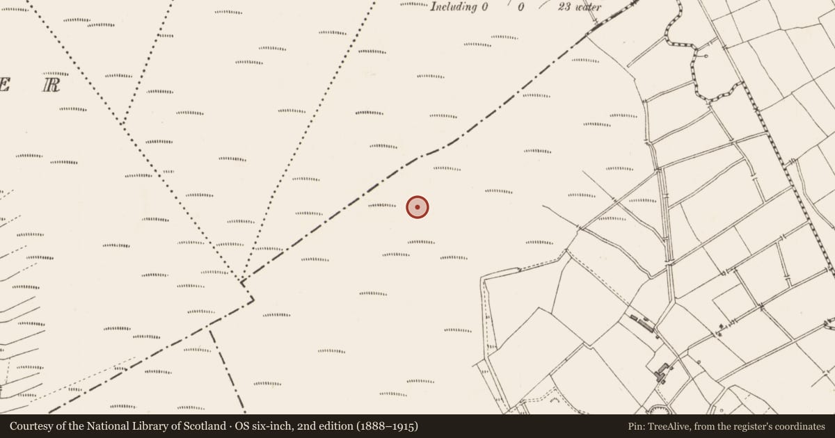 Ordnance Survey six-inch map, 2nd edition (1888–1915) covering the location of Road - class 3 togher, Clooneeny, County Longford, with a pin at the register's coordinates