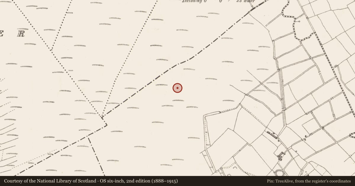 Ordnance Survey six-inch map, 2nd edition (1888–1915) covering the location of Road - class 3 togher, Clooneeny, County Longford, with a pin at the register's coordinates