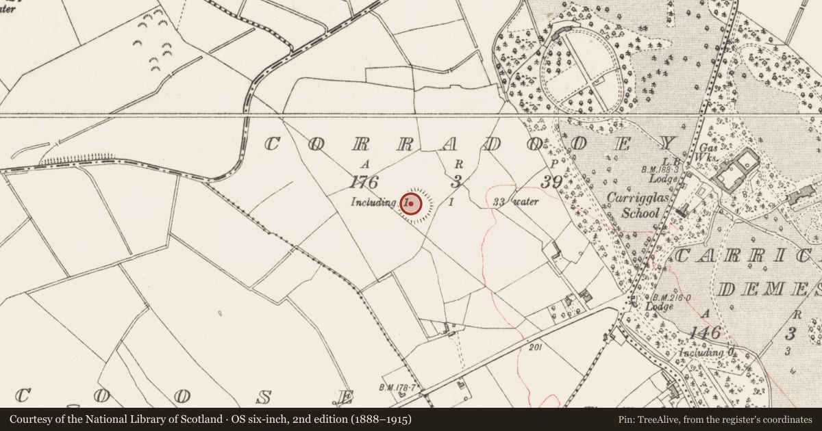 Ordnance Survey six-inch map, 2nd edition (1888–1915) covering the location of Enclosure, Corradooey, County Longford, with a pin at the register's coordinates