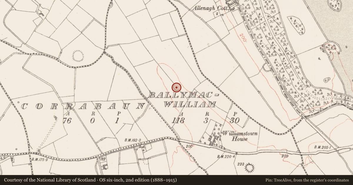 Ordnance Survey six-inch map, 2nd edition (1888–1915) covering the location of Ringfort - rath, Ballymacwilliam, County Longford, with a pin at the register's coordinates