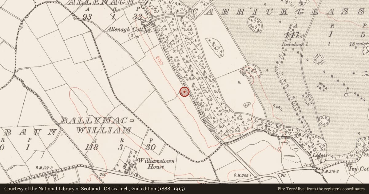 Ordnance Survey six-inch map, 2nd edition (1888–1915) covering the location of Ringfort - rath, Allenagh, Carrickglass Demesne, County Longford, with a pin at the register's coordinates