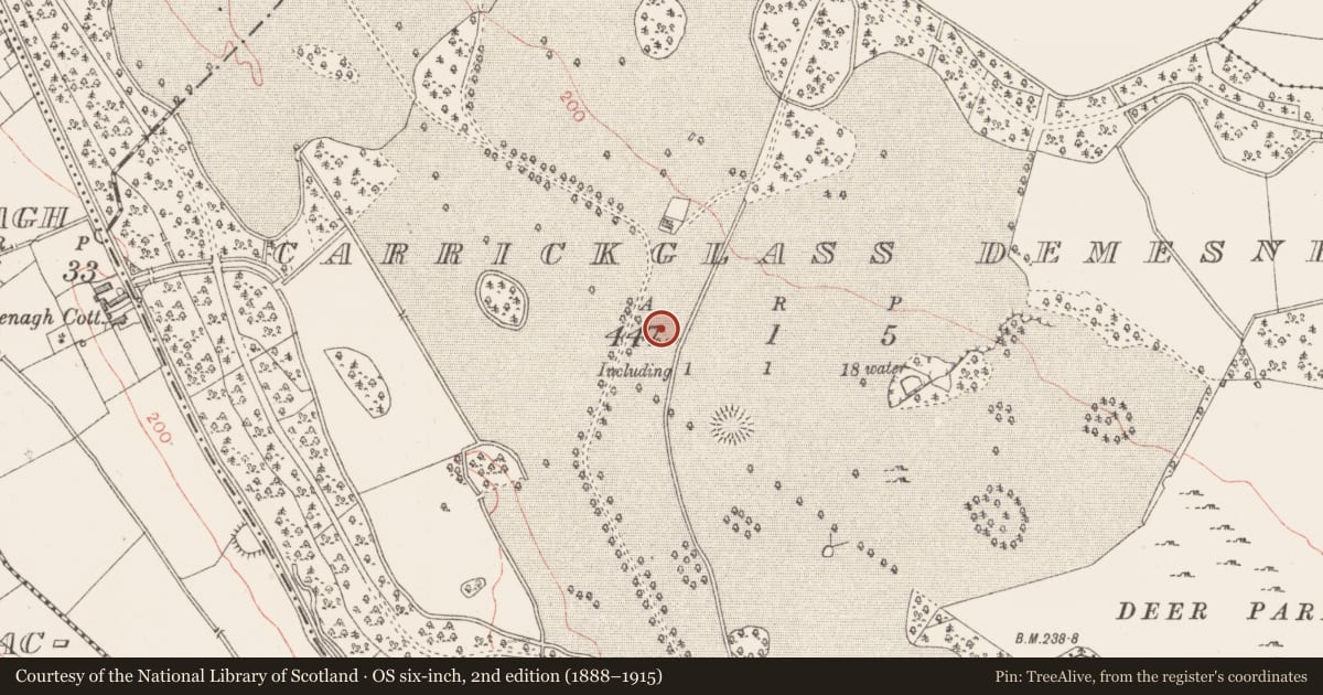 Ordnance Survey six-inch map, 2nd edition (1888–1915) covering the location of Ringfort - rath, Carrickglass Demesne, County Longford, with a pin at the register's coordinates