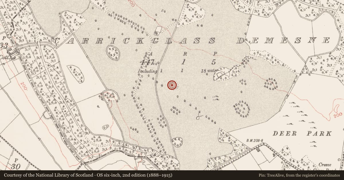 Ordnance Survey six-inch map, 2nd edition (1888–1915) covering the location of Ringfort - rath, Carrickglass Demesne, County Longford, with a pin at the register's coordinates