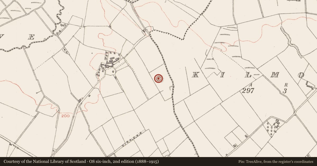 Ordnance Survey six-inch map, 2nd edition (1888–1915) covering the location of Ringfort - rath, Ballygarve, County Longford, with a pin at the register's coordinates