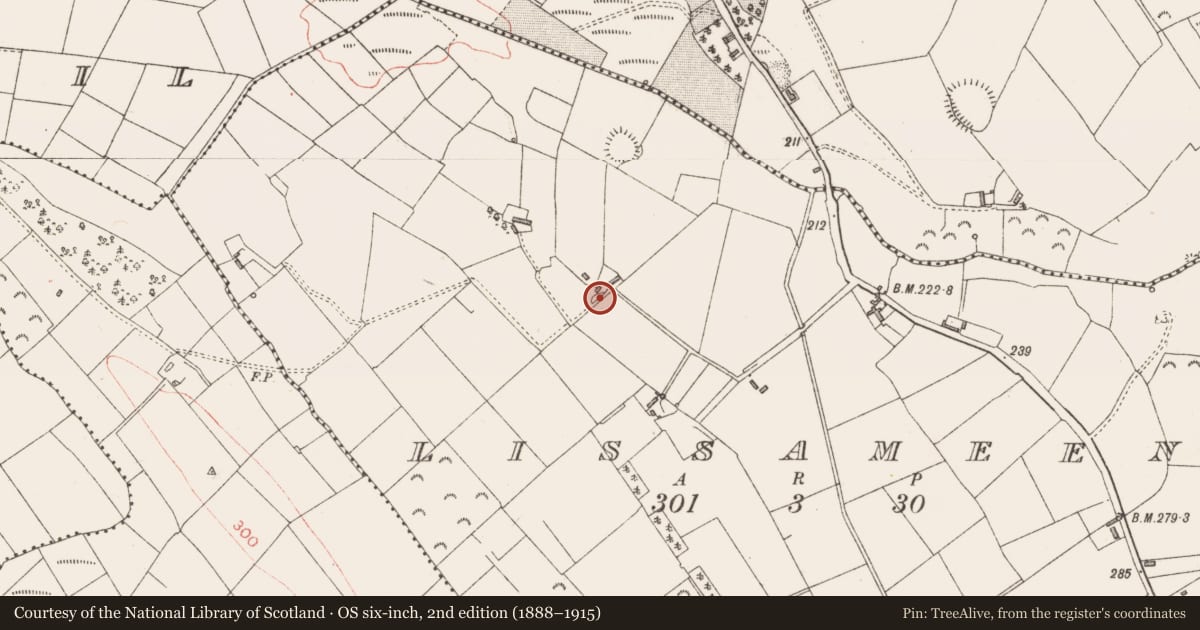 Ordnance Survey six-inch map, 2nd edition (1888–1915) covering the location of Ringfort - rath, Lissameen, County Longford, with a pin at the register's coordinates
