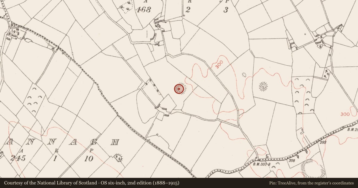 Ordnance Survey six-inch map, 2nd edition (1888–1915) covering the location of Ringfort - rath, Drumnacross, County Longford, with a pin at the register's coordinates