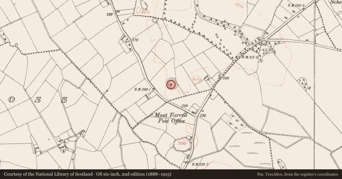 Ordnance Survey six-inch map, 2nd edition (1888–1915) covering the location of Enclosure, Lissameen, County Longford, with a pin at the register's coordinates