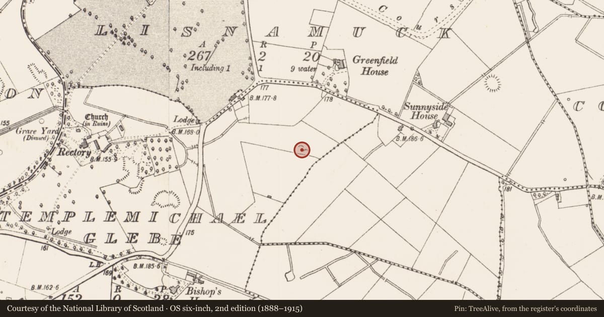 Ordnance Survey six-inch map, 2nd edition (1888–1915) covering the location of Ringfort - rath, Templemichael Glebe, County Longford, with a pin at the register's coordinates
