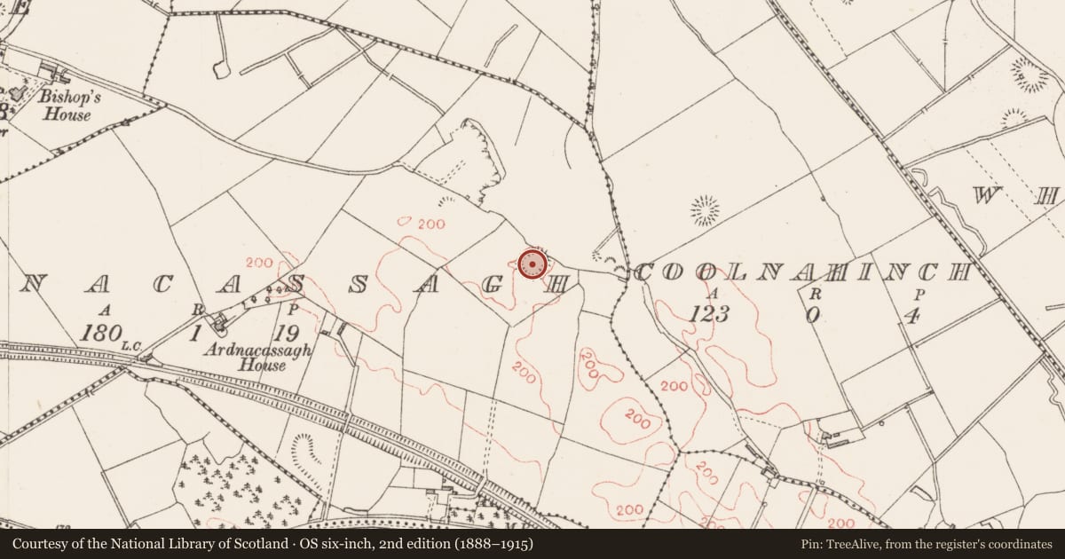 Ordnance Survey six-inch map, 2nd edition (1888–1915) covering the location of Ringfort - rath, Ardnacassagh, County Longford, with a pin at the register's coordinates