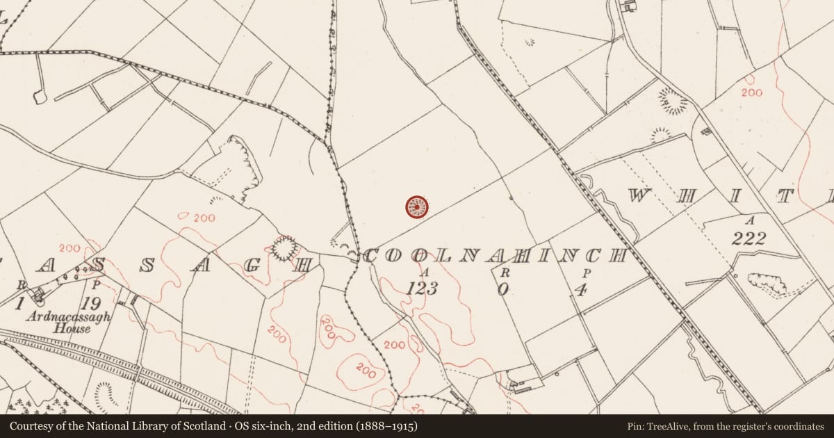 Ordnance Survey six-inch map, 2nd edition (1888–1915) covering the location of Ringfort - rath, Coolnahinch, County Longford, with a pin at the register's coordinates