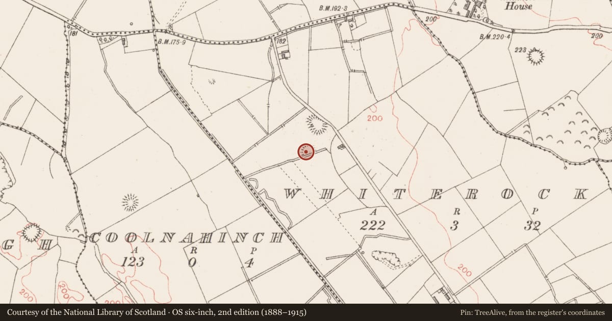 Ordnance Survey six-inch map, 2nd edition (1888–1915) covering the location of Ringfort - rath, Whiterock, County Longford, with a pin at the register's coordinates