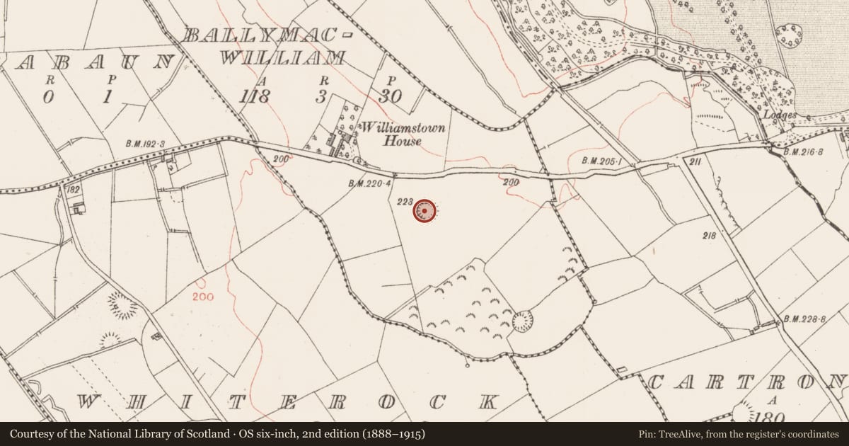 Ordnance Survey six-inch map, 2nd edition (1888–1915) covering the location of Ringfort - rath, Ballymacwilliam, County Longford, with a pin at the register's coordinates