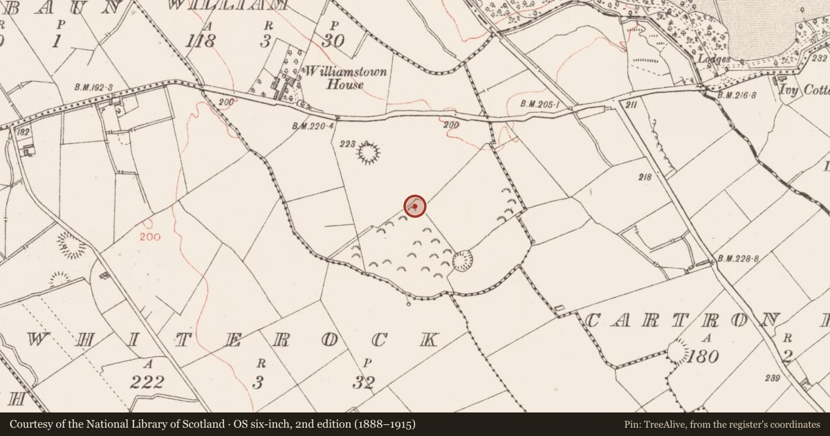 Ordnance Survey six-inch map, 2nd edition (1888–1915) covering the location of Ringfort - rath, Ballymacwilliam, County Longford, with a pin at the register's coordinates