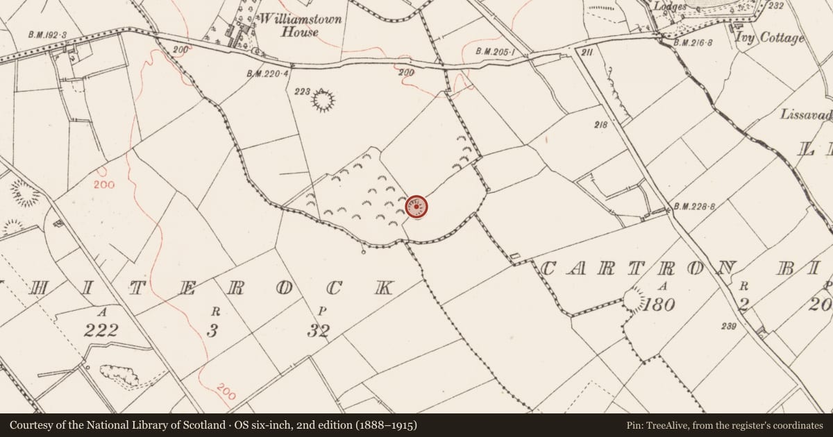 Ordnance Survey six-inch map, 2nd edition (1888–1915) covering the location of Ringfort - rath, Ballymacwilliam, County Longford, with a pin at the register's coordinates