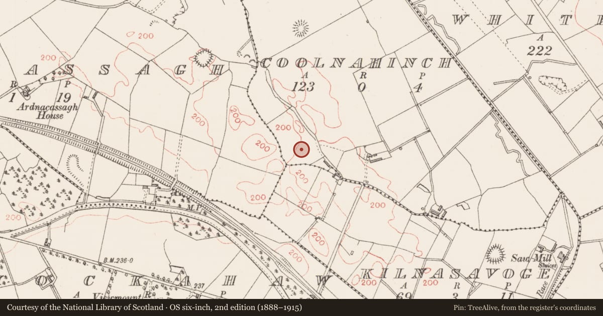 Ordnance Survey six-inch map, 2nd edition (1888–1915) covering the location of Ringfort - rath, Coolnahinch, County Longford, with a pin at the register's coordinates