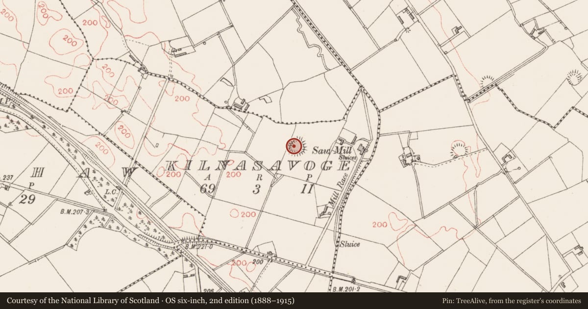 Ordnance Survey six-inch map, 2nd edition (1888–1915) covering the location of Ringfort - rath, Kilnasavoge, County Longford, with a pin at the register's coordinates