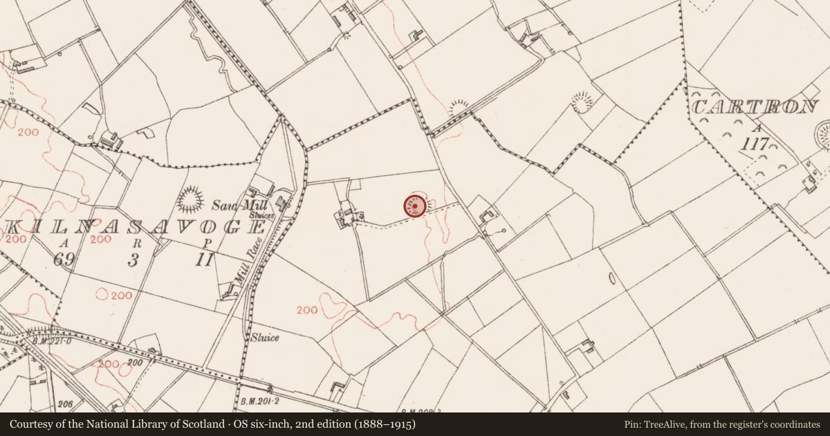 Ordnance Survey six-inch map, 2nd edition (1888–1915) covering the location of Ringfort - rath, Cooleeny, County Longford, with a pin at the register's coordinates