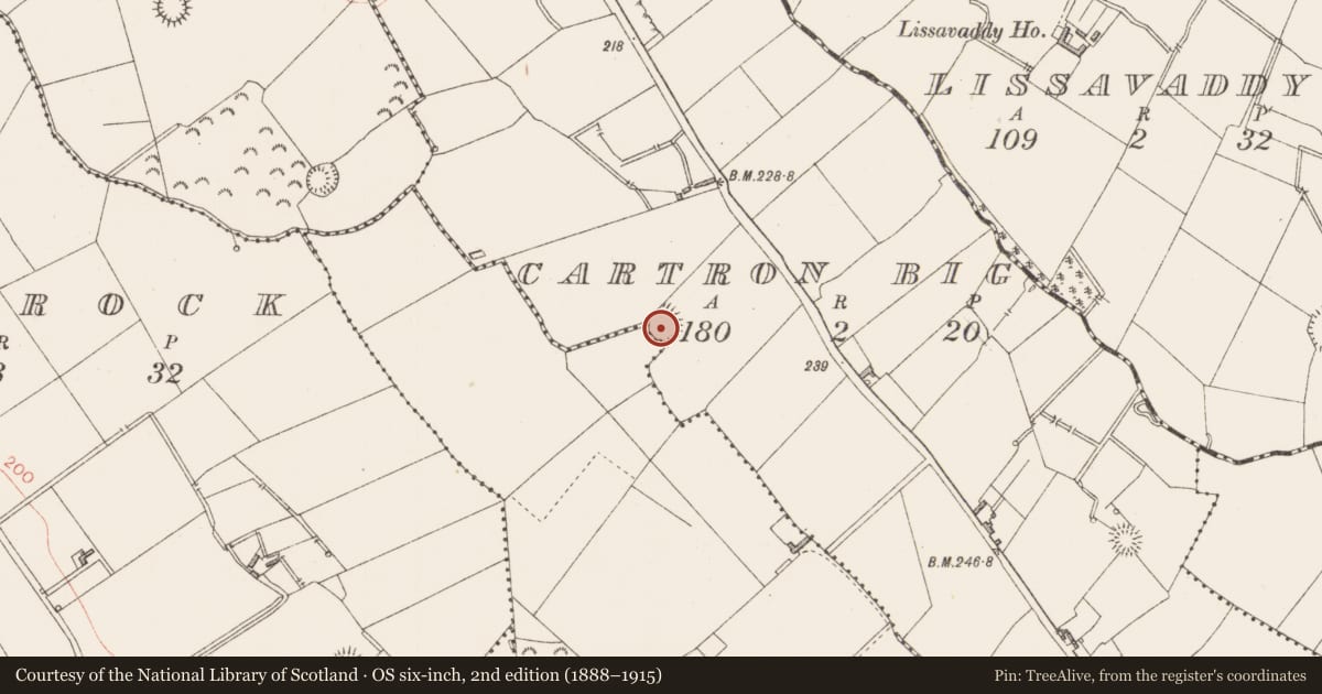 Ordnance Survey six-inch map, 2nd edition (1888–1915) covering the location of Ringfort - rath, Cartron Big, Cartron Little, County Longford, with a pin at the register's coordinates