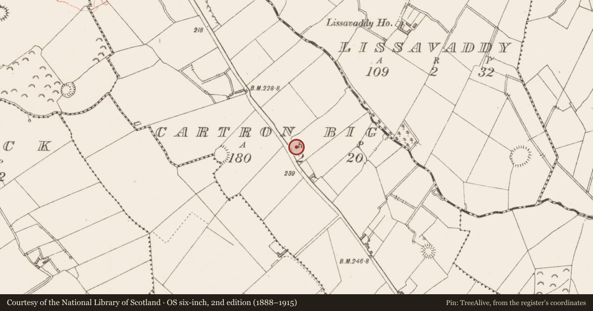 Ordnance Survey six-inch map, 2nd edition (1888–1915) covering the location of Ringfort - rath, Cartron Big, County Longford, with a pin at the register's coordinates