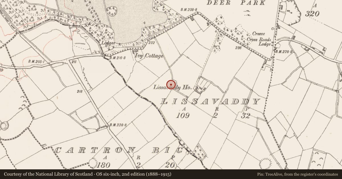 Ordnance Survey six-inch map, 2nd edition (1888–1915) covering the location of Ringfort - rath, Lissavaddy, County Longford, with a pin at the register's coordinates