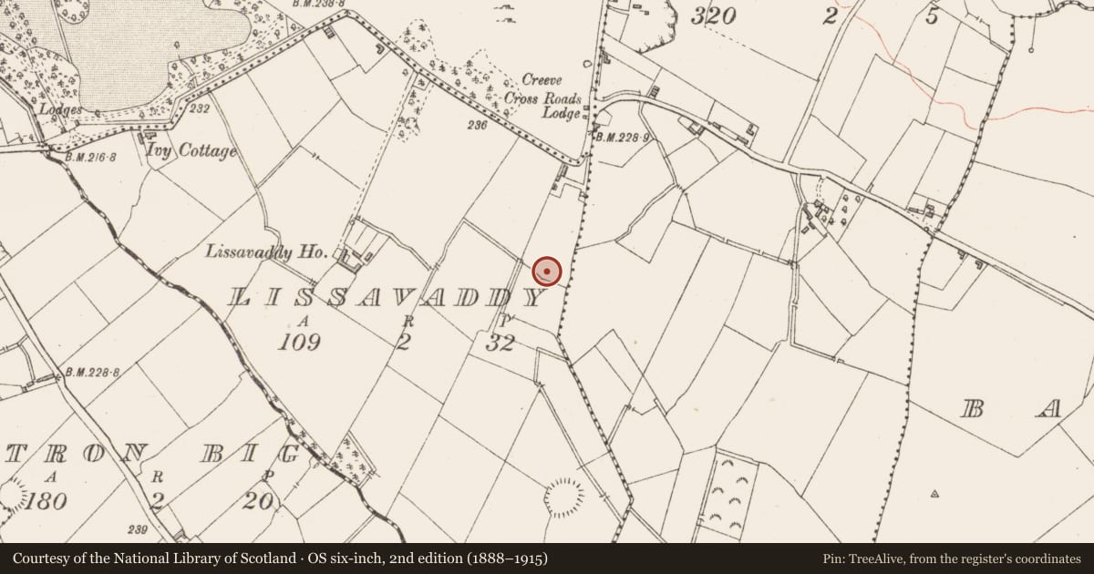Ordnance Survey six-inch map, 2nd edition (1888–1915) covering the location of Ringfort - rath, Lissavaddy, County Longford, with a pin at the register's coordinates