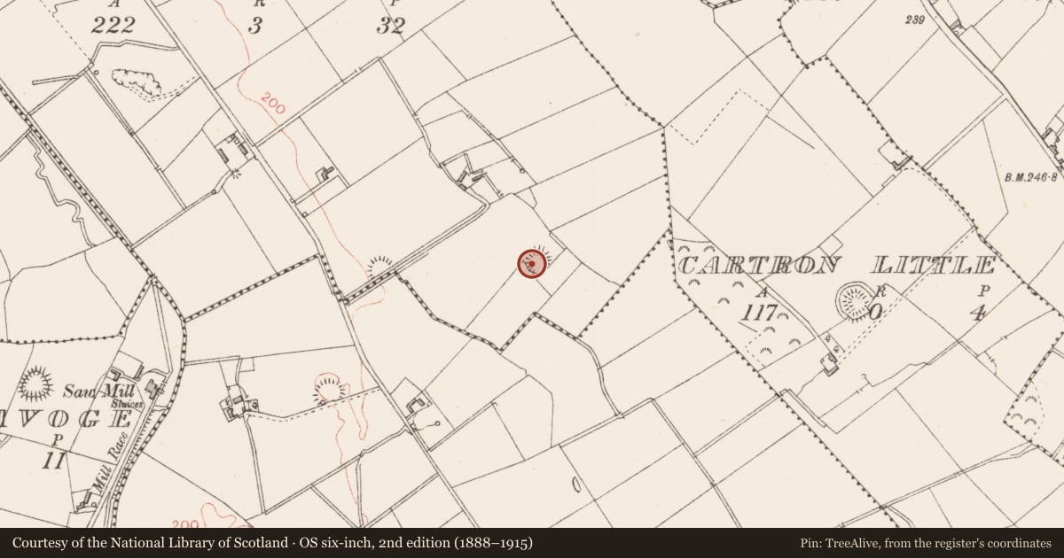 Ordnance Survey six-inch map, 2nd edition (1888–1915) covering the location of Ringfort - rath, Whiterock, County Longford, with a pin at the register's coordinates