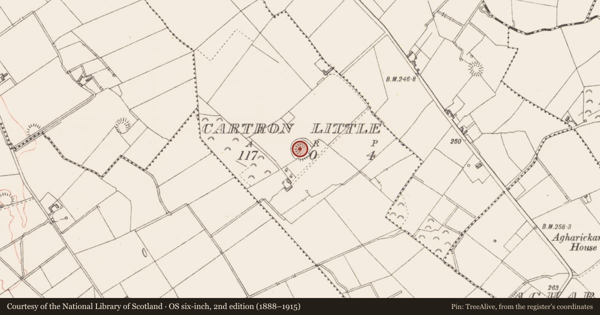 Ordnance Survey six-inch map, 2nd edition (1888–1915) covering the location of Ringfort - rath, Cartron Little, County Longford, with a pin at the register's coordinates