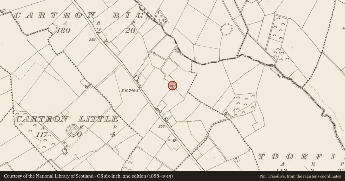 Ordnance Survey six-inch map, 2nd edition (1888–1915) covering the location of Ringfort - rath, Cartron Big, County Longford, with a pin at the register's coordinates