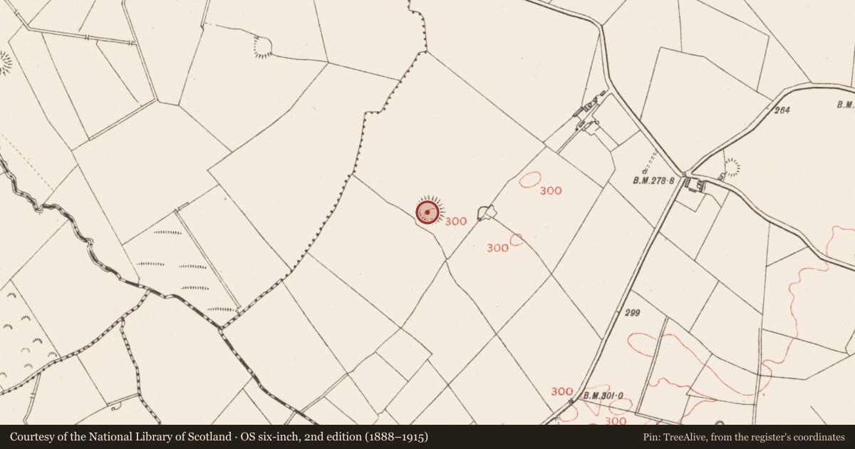 Ordnance Survey six-inch map, 2nd edition (1888–1915) covering the location of Ringfort - rath, Corboy, County Longford, with a pin at the register's coordinates