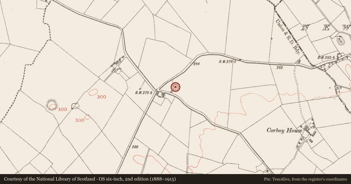 Ordnance Survey six-inch map, 2nd edition (1888–1915) covering the location of Ringfort - rath, Corboy, County Longford, with a pin at the register's coordinates