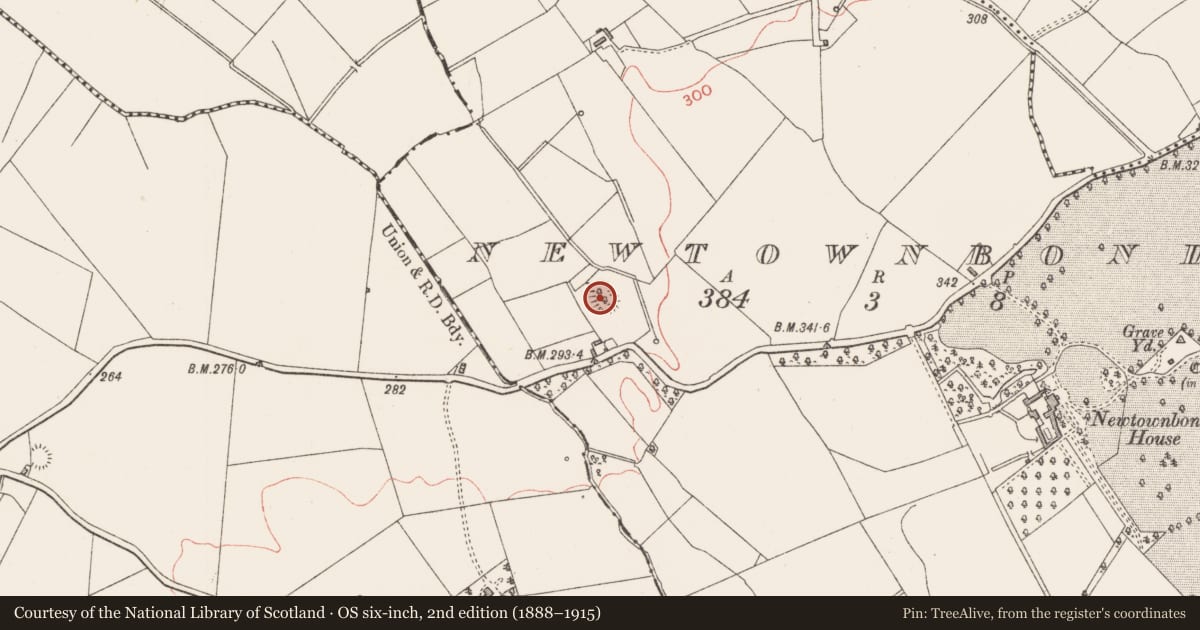 Ordnance Survey six-inch map, 2nd edition (1888–1915) covering the location of Castle - unclassified, Newtownbond, County Longford, with a pin at the register's coordinates